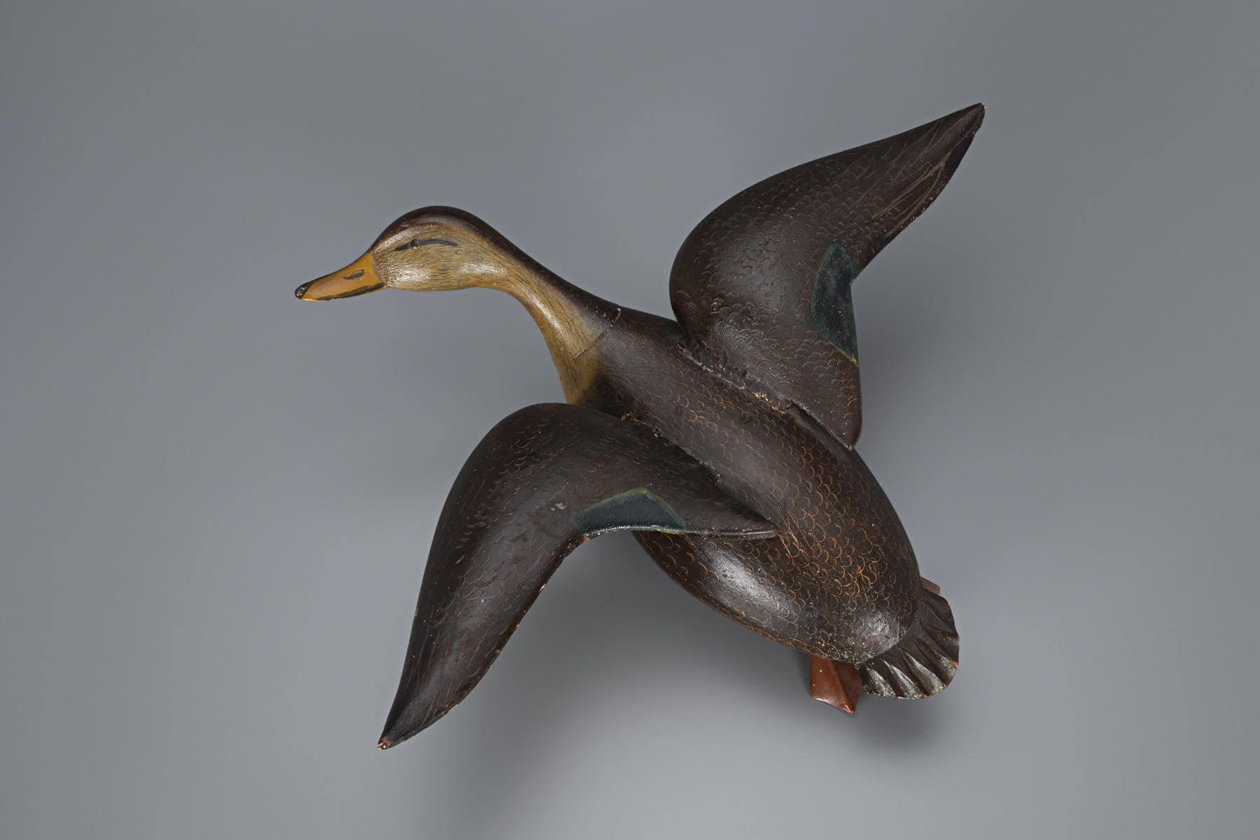 A decorative carving of a flying black duck, made by Ira Hudson in 1947. It faces left, its head in profile. The body is brown and its wings are spread. Its back is to us. A foot peeks out from under the tail.