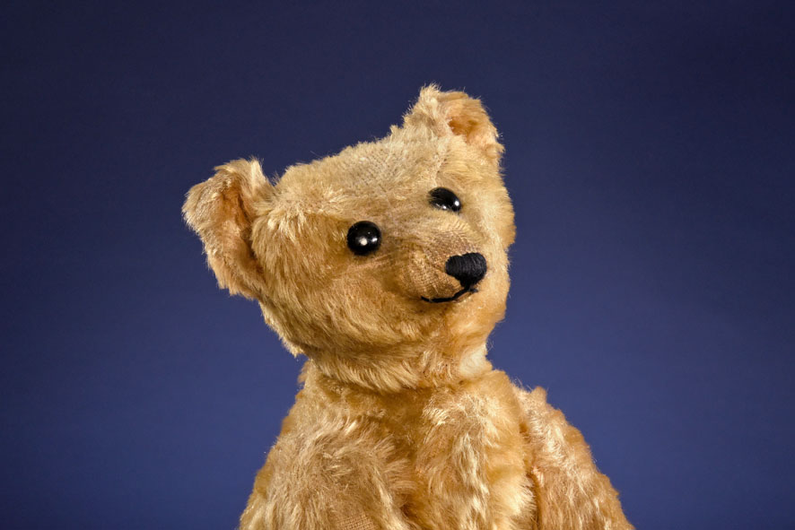 A Steiff PB28 rod bear, created circa 1903 or 1904, and shown in closeup. It seems to have been made before Steiff started sewing ID buttons in the ears of their teddy bears.